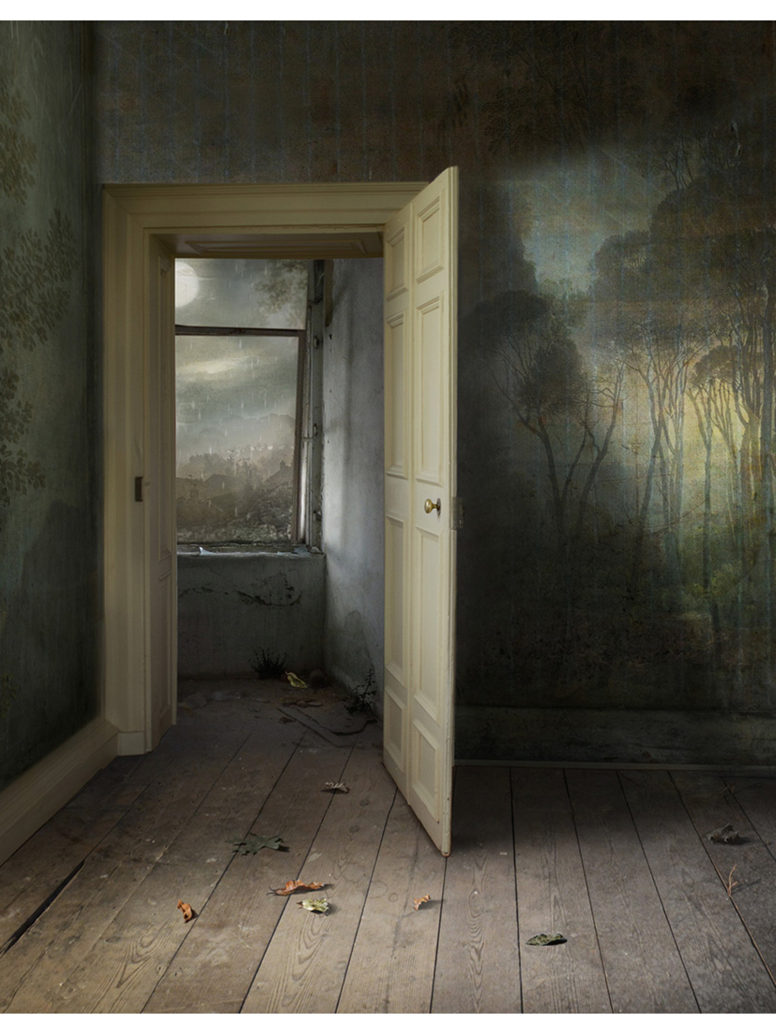 Interior With Open Door Suzanne Moxhay